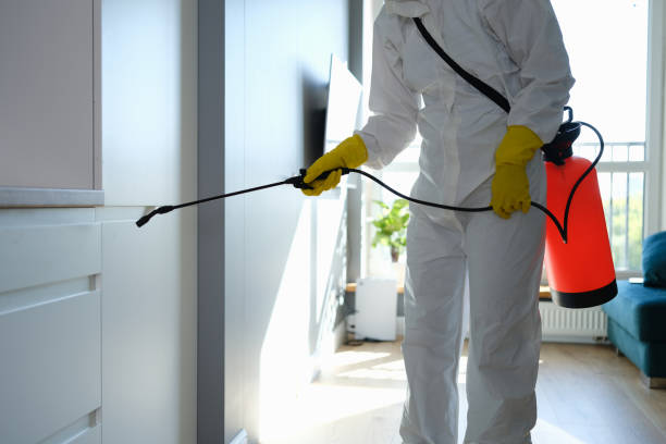Best Mold Cleaning Services  in Lake Catherine, IL